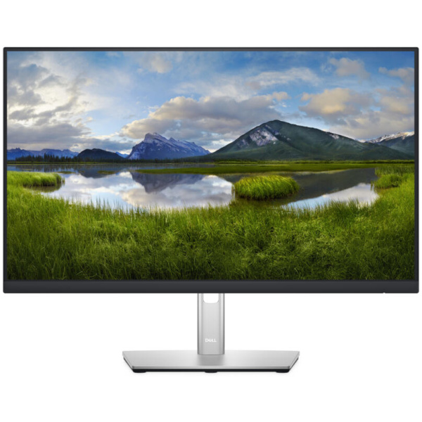 Dell P2422H 24" (1920 x 1080) Full HD IPS VGA DisplayPort HDMI USB 3.2 VESA Swivel Tilt Height Adjust LED-Backlit Monitor